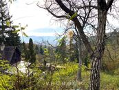 Prodej pozemku 2297 m2, Brno - Bosonohy, cena 7490000 CZK / objekt, nabízí