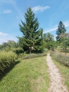 Prodej, Pozemek pro stavbu RD, bytů, Brno, cena 3990000 CZK / objekt, nabízí 