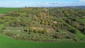 Prodej sady a vinice, 6 601 m2 - Hustopeče u Brna, cena 1459500 CZK / objekt, nabízí 