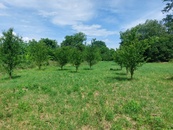 Prodej pozemky - zahrady, 5 961 m2 - Rajhrad, cena 7337330 CZK / objekt, nabízí 