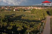 Prodej, Pozemky, Zahrady a sady, 350 m2, Vranovice nad Svratkou, cena 506620 CZK / objekt, nabízí 