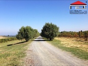 Prodej, Pozemky, Zahrady a sady, 350 m2, Vranovice nad Svratkou, cena cena v RK, nabízí 