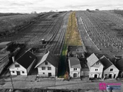 Prodej vinice 2 567 m2, Bořetice - Kraví hora, cena 675000 CZK / objekt, nabízí 