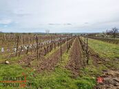 Prodej, pozemky/vinice/sady, 1280 m2, Nechory, Prušánky, Hodonín [ID 59240], cena cena v RK, nabízí 