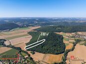 Prodej lesa - Brno venkov, cena 399000 CZK / objekt, nabízí 