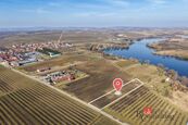 Prodej, pozemky/vinice/sady, 2791 m2, Velké Bílovice , Břeclav [ID 82236], cena 4200000 CZK / objekt, nabízí 