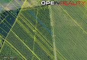 Prodej lesa, Dubňany, cena 85000 CZK / objekt, nabízí