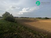 Prodej pole v Pavlově, cena 60 CZK / m2, nabízí