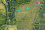 Prodej vinice, 1585 m2, Bohuslavice u Kyjova, cena 275000 CZK / objekt, nabízí