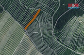 Prodej lesa, 3219 m2, Horní Bojanovice, cena 239000 CZK / objekt, nabízí