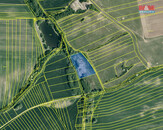 Prodej pole, 8092 m2, Moravské Málkovice, cena 297036 CZK / objekt, nabízí