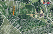 Prodej ovocného sadu, 1211 m2, Němčičky u Hustopečí, cena 250000 CZK / objekt, nabízí