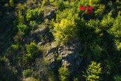 Prodej lesa, 7450 m2, Lomnice, cena 490000 CZK / objekt, nabízí 