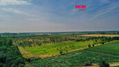 Prodej ovocného sadu, 123477 m2, Rakvice, cena 18514100 CZK / objekt, nabízí 