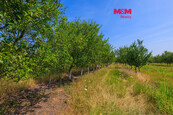 Prodej ovocného sadu, 53078 m2, Rakvice, cena 13264200 CZK / objekt, nabízí 