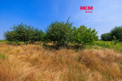 Prodej ovocného sadu, 12442 m2, Rakvice, cena 3083830 CZK / objekt, nabízí 