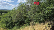 Prodej zahrady, 1358 m2, Brno, ul. Vinohradská, cena 1250000 CZK / objekt, nabízí 