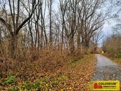 Rousínov - Čechyně, stavební parcela, 3 392 m2 pozemek, cena 7123200 CZK / objekt, nabízí