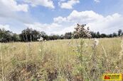 Sebranice - zahrada, příjezdová asfaltová komunikace, oplocení - pozemek, cena 2123 CZK / m2, nabízí 