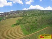 Znojmo Oblekovice, vinice, trvalý travní porost, lesní pozemek, 16 843 m2 pozemek, cena 1594380 CZK / objekt, nabízí