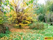 Dyje, zahrada, jezírko, 387 m pozemek, cena 731705 CZK / objekt, nabízí 