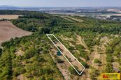 Židlochovice, prodej pozemku 4 149 m2, ovocné stromy pozemek, cena 864735 CZK / objekt, nabízí 