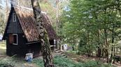 Prodej pozemku - Brno - venkov - Doubravník - chata - CP 1244 m2, cena 800000 CZK / objekt, nabízí