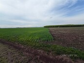 Nabízíme k prodeji půdní pozemek 2936 m2 v idylické obci Vrbovec, cena 349000 CZK / objekt, nabízí 