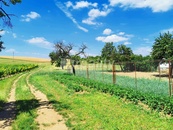 Prodej stavebního pozemku, Miroslav, cena 1915000 CZK / objekt, nabízí 