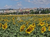 Prodej stavebního pozemku, Znojmo, Oblekovice, cena 1800 CZK / m2, nabízí 