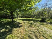 Prodej prostorné zahrady v obci Omice - 1271 m2, ovocné stromy, krásný výhled a naprostý klid, cena 1100000 CZK / objekt, nabízí 