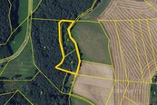 Prodej lesa 5 622 m2, Vranová u Letovic, okr. Blansko, cena 220000 CZK / objekt, nabízí 