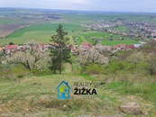 Prodej zahrady s vinicí CP 942 m2, Viničné Šumice, cena 540000 CZK / objekt, nabízí 