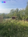 Prodej, Zahrada, Brno, cena 1490000 CZK / objekt, nabízí 