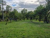 Pronájem, Zahrada, Brno, cena 5000 CZK / objekt / měsíc, nabízí Alva Real