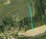 Prodej ideálních spoluvlastnických podílů na zemědělských pozemcích v k. ú. Nemotice, okres Vyškov, cena 157797 CZK / objekt, nabízí 